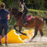 espace équestres haras sainte eugénie