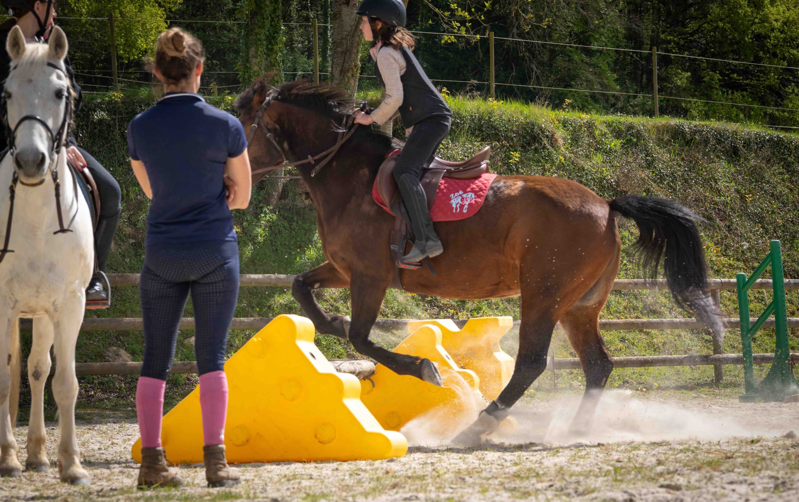 espace équestres haras sainte eugénie