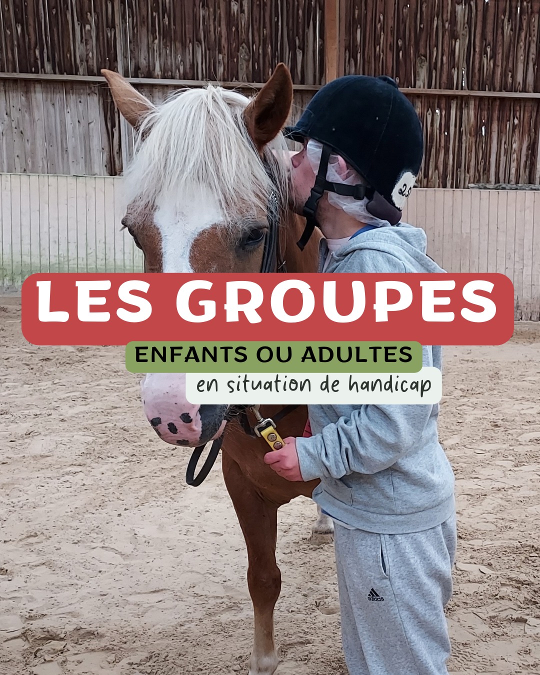 handicap haras sainte eugénie